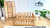 kids bed, wooden kids bed, solid pine kids bed, kids bed with trundle, trundle bed for kids, pull out trundle bed, toddler bed wooden, children’s single bed, kids bedroom bed, Montessori kids bed, wooden toddler bed, pine wood bed