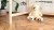 kids loft bed, wooden loft bed, pine wood bed, kids bed ladder, solid wood bed, loft bed for kids, childrens loft bed, kids bedroom bed, loft bed 5+, handmade kids bed, wooden kids bed, pine wood furniture